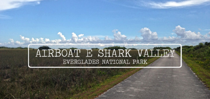 shark valley everglades